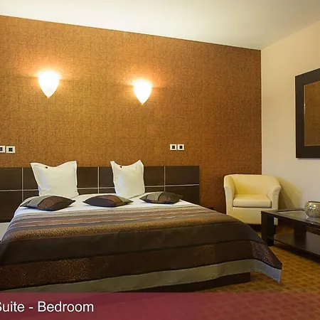 Inter Business Hotel Boekarest